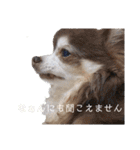 私の警備員（個別スタンプ：12）