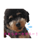 私の警備員（個別スタンプ：14）