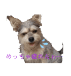 私の警備員（個別スタンプ：20）