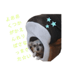 私の警備員（個別スタンプ：22）