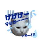FUKU-HANA-1（個別スタンプ：1）