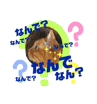 FUKU-HANA-1（個別スタンプ：2）