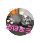 カイルとラムの日常♪（個別スタンプ：3）