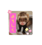 カイルとラムの日常♪（個別スタンプ：10）