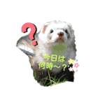 カイルとラムの日常♪（個別スタンプ：19）