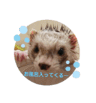 カイルとラムの日常♪（個別スタンプ：28）