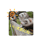 カイルとラムの日常♪（個別スタンプ：30）