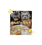カイルとラムの日常♪（個別スタンプ：31）