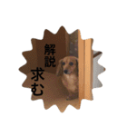 DK nonchan（個別スタンプ：19）