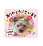 そらの日常使いスタンプ<第2弾>（個別スタンプ：5）