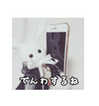 BABYRABBIT-1st-（個別スタンプ：5）