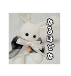 BABYRABBIT-1st-（個別スタンプ：11）