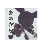 BABYRABBIT-1st-（個別スタンプ：12）