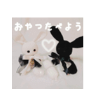 BABYRABBIT-1st-（個別スタンプ：14）