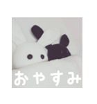 BABYRABBIT-1st-（個別スタンプ：16）