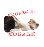 ☺︎yakawa kids❷その他もろもろ（個別スタンプ：22）