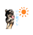 マロゆずの日常（個別スタンプ：4）