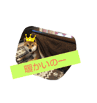 柴犬コムギの日常（個別スタンプ：6）