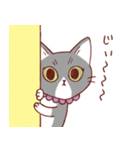 猫のまゆちゃん（個別スタンプ：1）