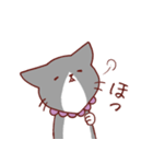 猫のまゆちゃん（個別スタンプ：3）