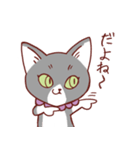 猫のまゆちゃん（個別スタンプ：4）