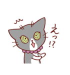 猫のまゆちゃん（個別スタンプ：5）