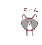 猫のまゆちゃん（個別スタンプ：6）