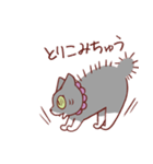 猫のまゆちゃん（個別スタンプ：10）