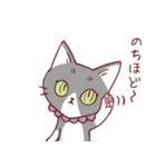猫のまゆちゃん（個別スタンプ：11）