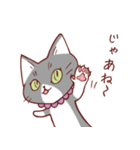 猫のまゆちゃん（個別スタンプ：17）