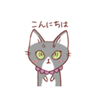 猫のまゆちゃん（個別スタンプ：18）