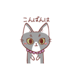 猫のまゆちゃん（個別スタンプ：19）