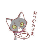 猫のまゆちゃん（個別スタンプ：27）