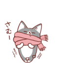 猫のまゆちゃん（個別スタンプ：31）