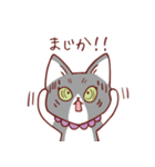 猫のまゆちゃん（個別スタンプ：35）