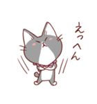 猫のまゆちゃん（個別スタンプ：40）
