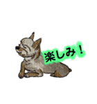 ねむい犬(日常使い)（個別スタンプ：2）