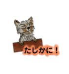 ねむい犬(日常使い)（個別スタンプ：5）