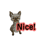 ねむい犬(日常使い)（個別スタンプ：10）
