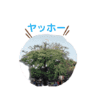あっこんちのスタンプ（個別スタンプ：24）