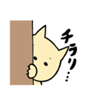 いけねこ（個別スタンプ：1）