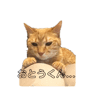 みみとおとうくんの日常（個別スタンプ：2）