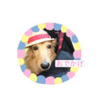tarou hiromi（個別スタンプ：2）
