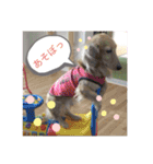 tarou hiromi（個別スタンプ：8）