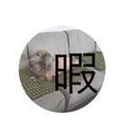 tarou hiromi（個別スタンプ：11）