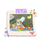 tarou hiromi（個別スタンプ：13）