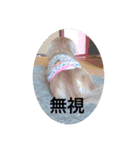 tarou hiromi（個別スタンプ：16）