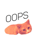 ねこちゃんのスタンプです！！（個別スタンプ：16）