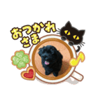 めーのつぶやき（個別スタンプ：1）