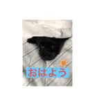 めーのつぶやき（個別スタンプ：6）